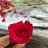 ���� Raju, �����������, 20 ��� - ��������� 23 ���� 2026