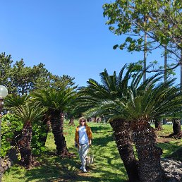 ���� Stekhova Svetlana, ����������� - ��������� 9 ��� 2025