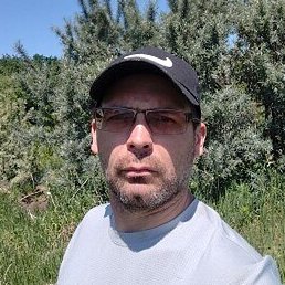 , , 43 