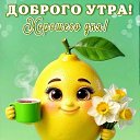 ���� ����, ����� - ��������� 20 ��� 2026 � ������ ������ ��������