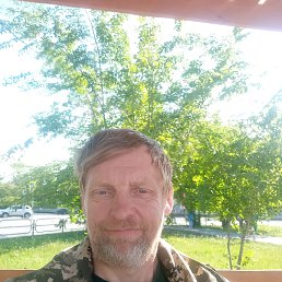 ���� ��������� ������, ������ ��������, 49 ��� - ��������� 8 ���� 2024