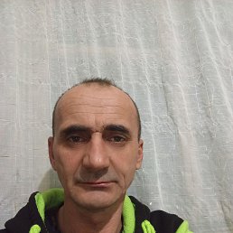 ������, 48 ���, �������