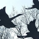 ���� Planet, ���� - ��������� 24 ����� 2024 � ������ ������ ��������