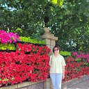 ���� �����, ������-��-����, 68 ��� - ��������� 21 ���� 2025 � ������ ���� ����������