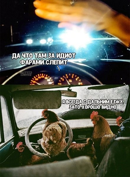 �� ����� - ������������� ������ �1 - 19 ������� 2025 � 12:47