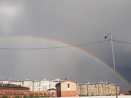 �����������