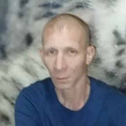 , 41 , 