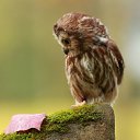 ���� �����, �����-���������, 33 ���� - ��������� 19 ������ 2024 � ������ ���� ����������