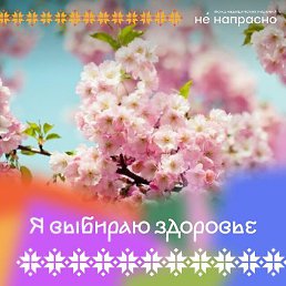 ���������, ������, 70 ���