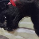 ���� �������, ����������� - ��������� 12 ������ 2025 � ������ ������ ��������