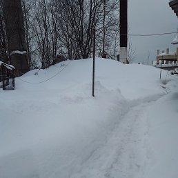 ���� ������� ������, ������, 56 ��� - ��������� 14 ������� 2024