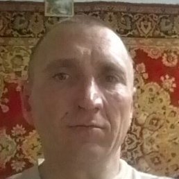 A��������, ������, 41 ���