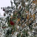 ���� �������, ����������� - ��������� 8 ������� 2025 � ������ ���� ����������