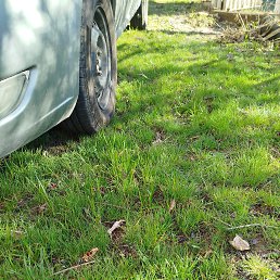 ���� �����, ��������, 49 ��� - ��������� 9 ������ 2025