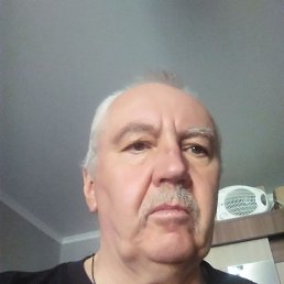 , 63, 