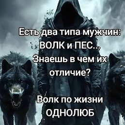 ���� ����, �����-��������� - ��������� 29 ��� 2026
