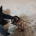 ���� ���������, ������, 48 ��� - ��������� 8 ������� 2023 � ������ ���� ����������