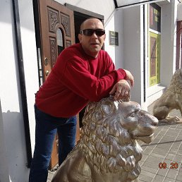 , 49, 