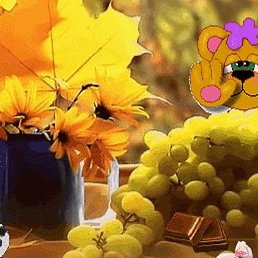 Roman, ������, 30 ���