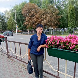 ���� ������� �����, �����, 39 ��� - ��������� 16 ����� 2024