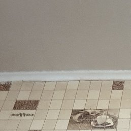 ������, ������, 44 ����