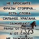 ���� ����, �����������, 47 ��� - ��������� 1 ���� 2025 � ������ ������ ��������