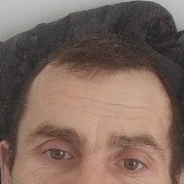 �����, ������, 46 ���