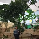 ���� ������, �������, 44 ���� - ��������� 15 ����� 2026