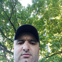 , 41, 