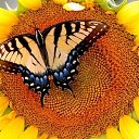���� ����, ������� - ��������� 14 ������� 2024 � ������ ���� ����������