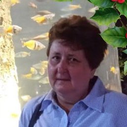 �����, ���������, 58 ���