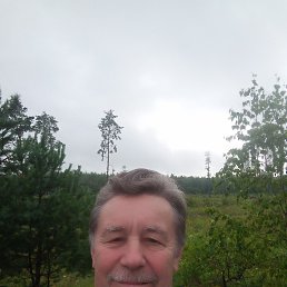 ���� �������, �����, 62 ���� - ��������� 27 ���� 2025