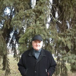 ������, �����������, 31 ���