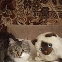 ���� �������, ��������, 56 ��� - ��������� 15 ������� 2023 � ������ ���� ����������