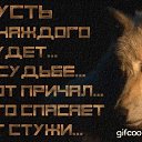 ���� ������, ������, 39 ��� - ��������� 24 ���� 2026 � ������ ���� ����������