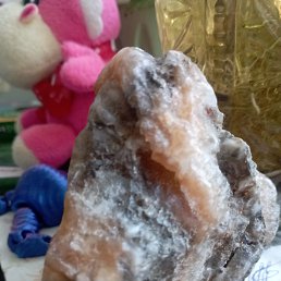 ���� �������, ����, 41 ��� - ��������� 23 ������� 2026