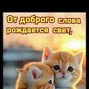 ���� �����, ���������, 62 ���� - ��������� 18 ������� 2025