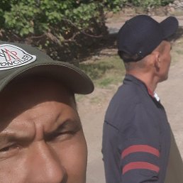 �����, �����-���������, 40 ���