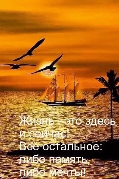  - 10  2024  07:04