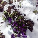 ���� ������, �����, 64 ���� - ��������� 29 ������ 2024 � ������ ������ ��������