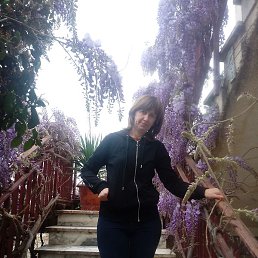 ���, �����������, 36 ���