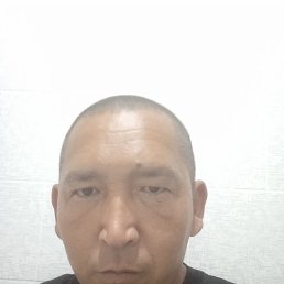 , 37, 