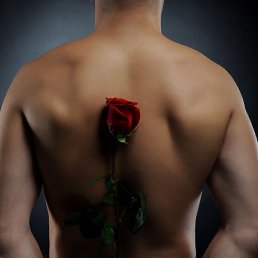 ������ ���, �������, 40 ���