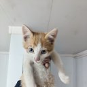 ���� �������, �����������, 33 ���� - ��������� 26 ��� 2025 � ������ ���� ����������