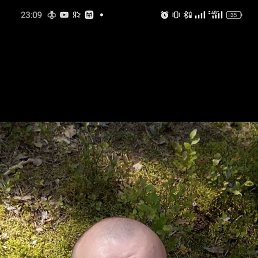 ���� ���������, �����-���������, 45 ��� - ��������� 8 ������ 2026