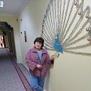 ���� ������, ���������, 57 ��� - ��������� 21 ����� 2026