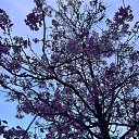 ���� ����, ������ - ��������� 7 ���� 2026 � ������ ���� ����������