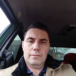 �����, 44 ����, ����