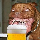 ���� ��������, ������������ - ��������� 16 ������ 2023