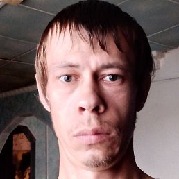 �����, �������, 38 ���